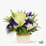 Aranjament-floral---Stele-de-iarna---Standard