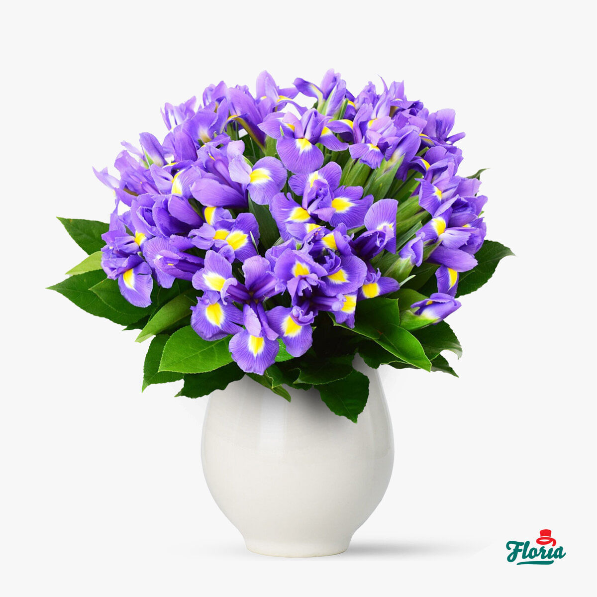 Buchet de flori – Buchet pentru Iris Floria imagine 2022