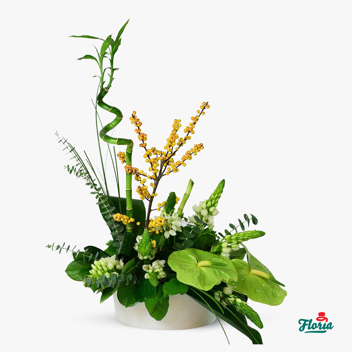 Aranjament floral cu anthurium si cale – Standard anthurium