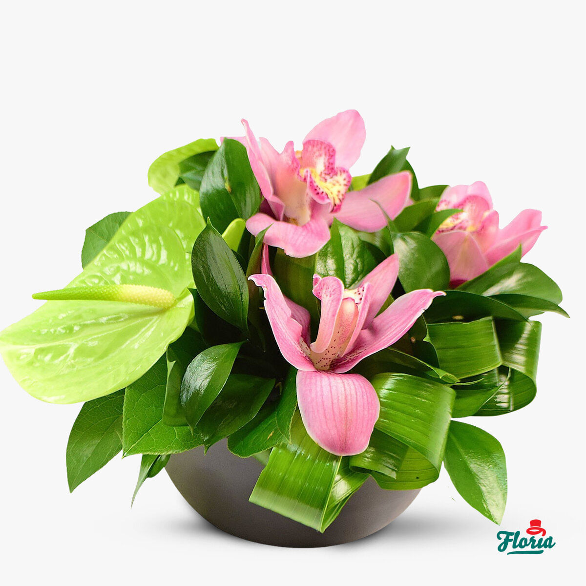Aranjament floral cu anthurium si orhidee – premium anthurium