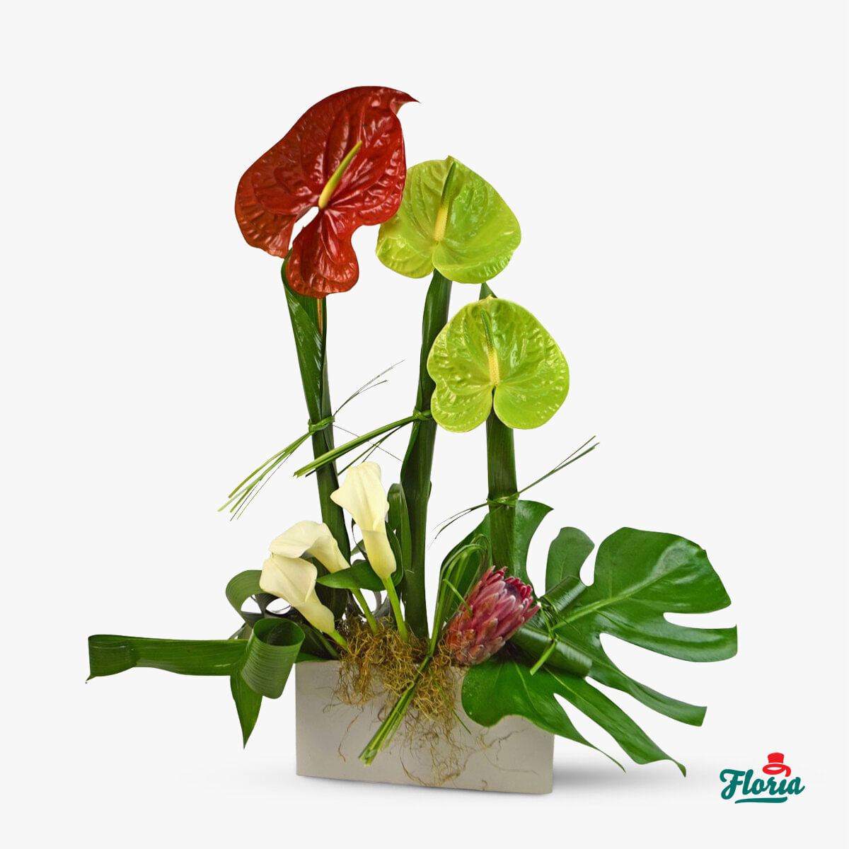 Aranjament floral cu anthurium si cale – premium anthurium