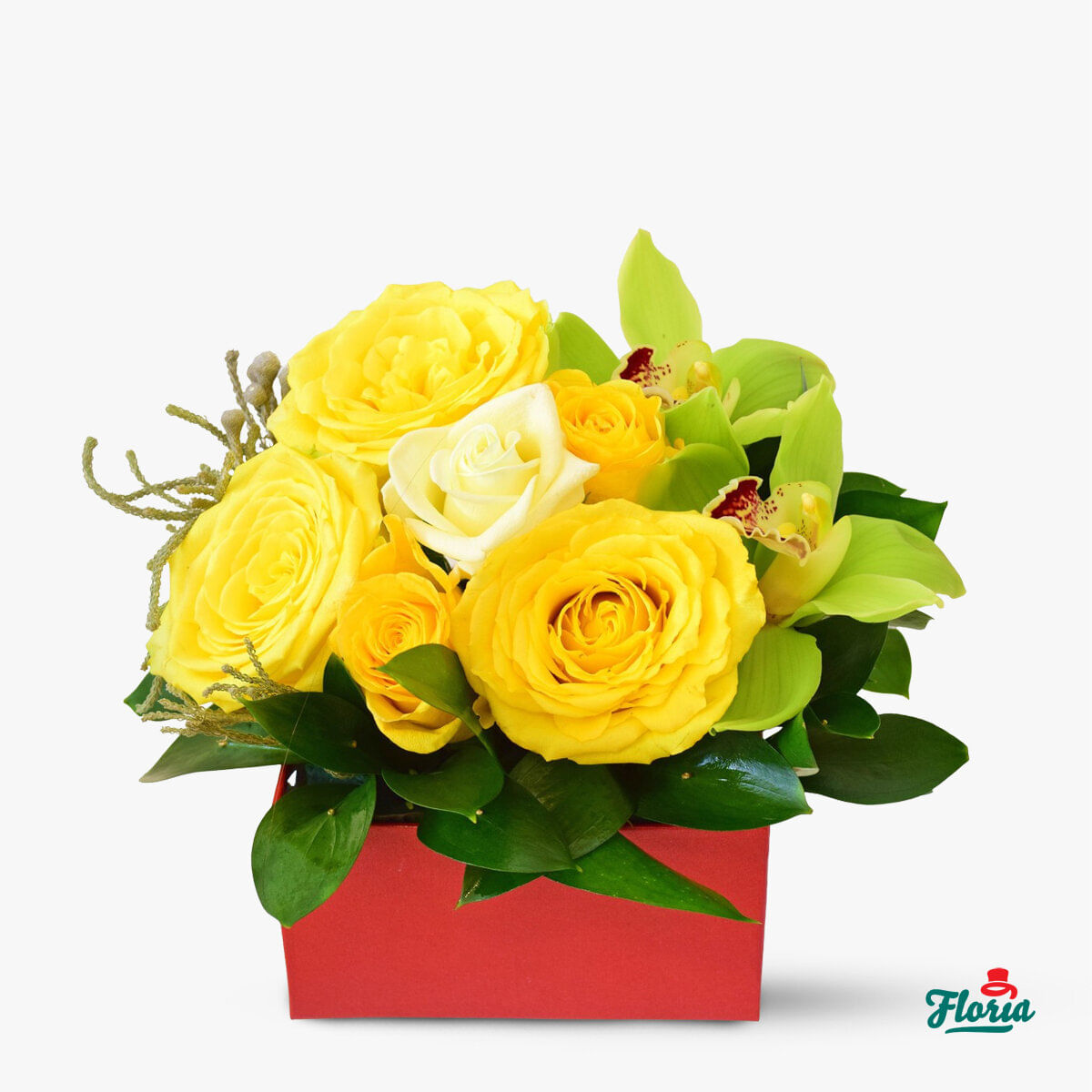Cos cu flori – Fiori de flori – Standard Corporate