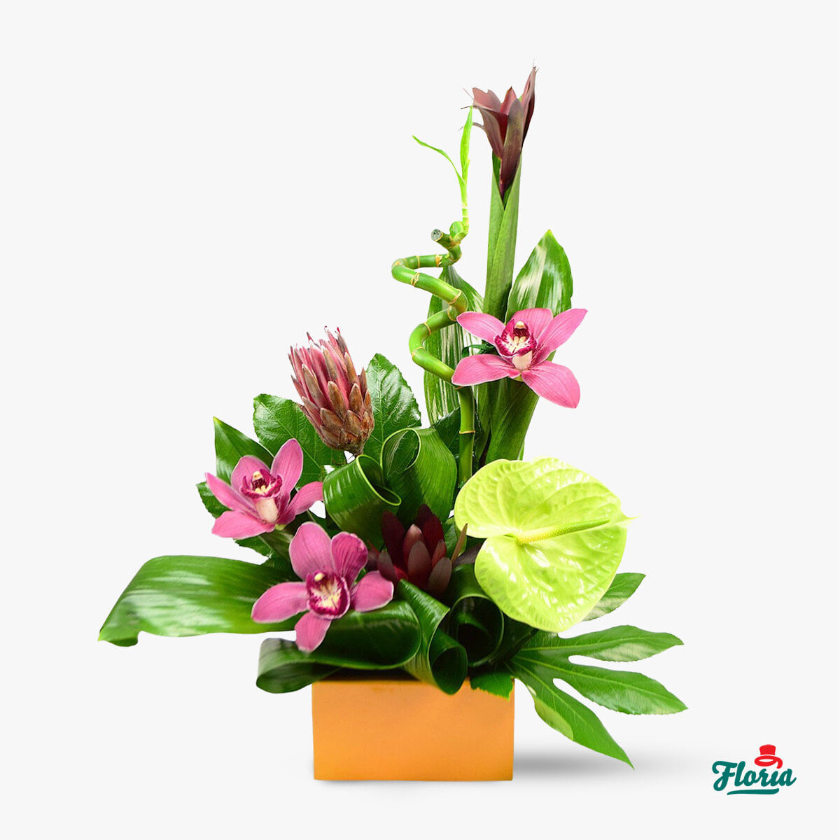 Flori business – Prosperitate – premium