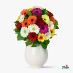 Buchet-de-35-gerbera-multicolore---Standard