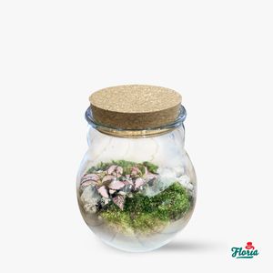 Mini-terrarium with natural plants