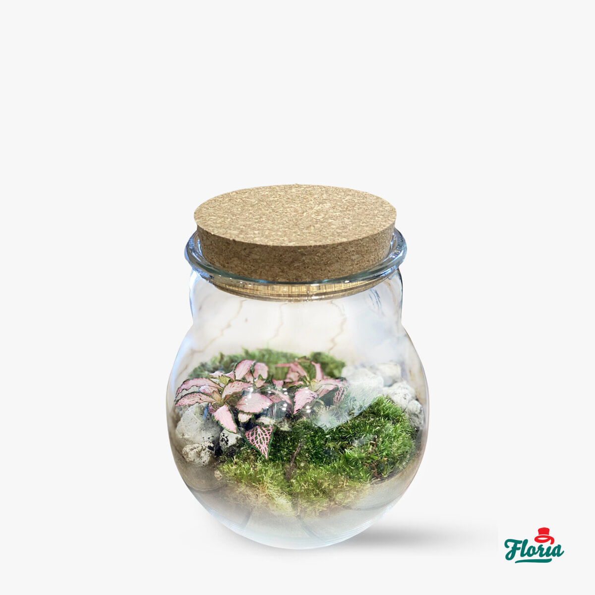 Mini-terariu cu plante naturale floria.ro