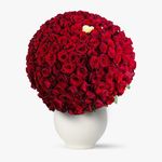 Buchet-229-trandafiri-rosii---Dragoste-fara-limite