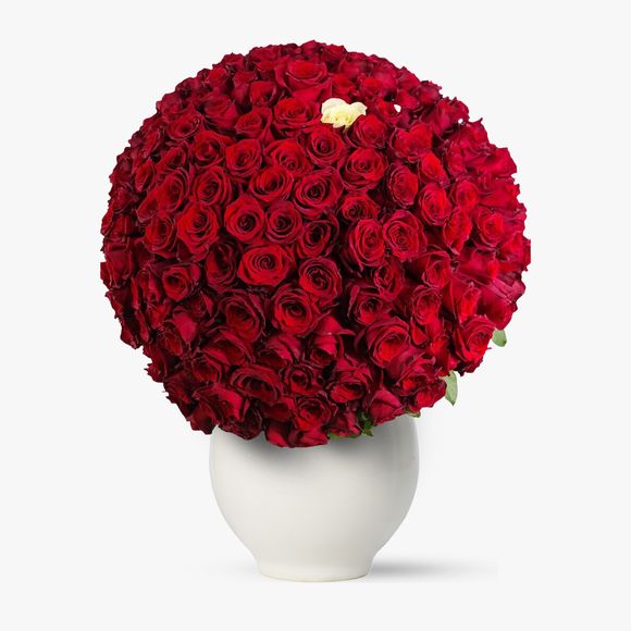 Bouquet 229 red roses - Love without limits