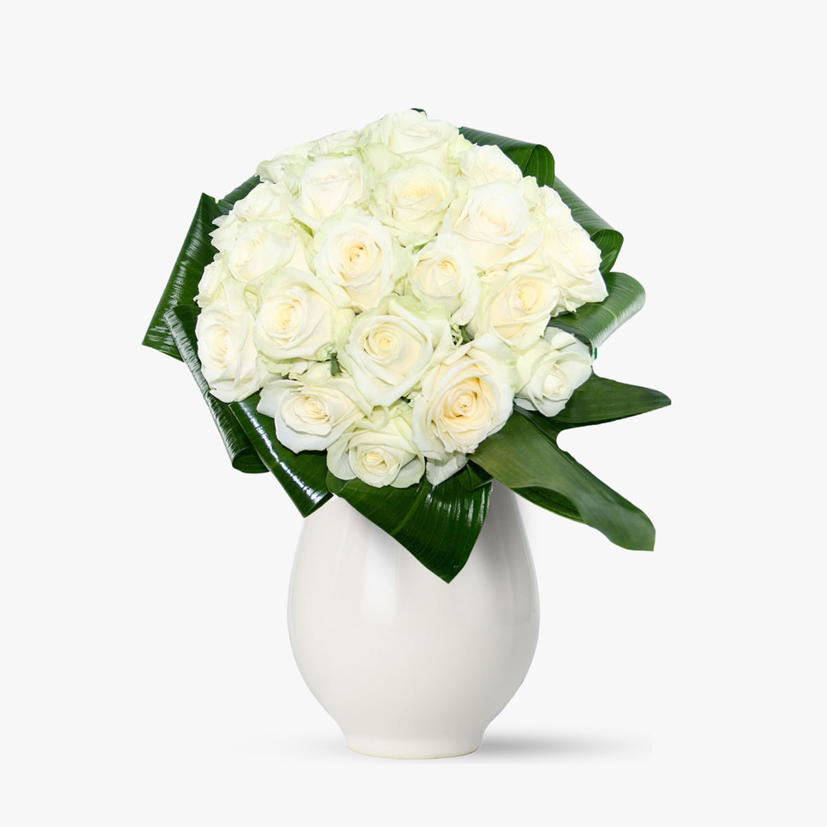 Buchet de 25 trandafiri albi Floria