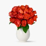 Buchet-de-25-trandafiri-portocalii