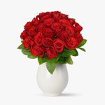 Buchet-de-35-trandafiri-rosii