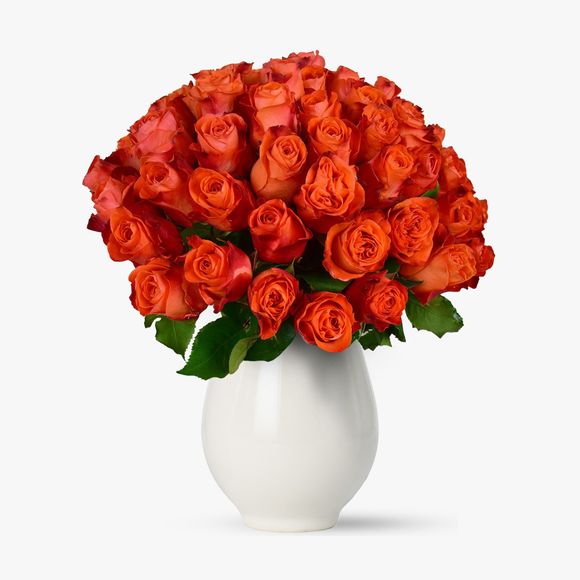 Bouquet of 55 orange roses