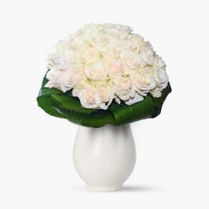 Bouquet of 55 white roses