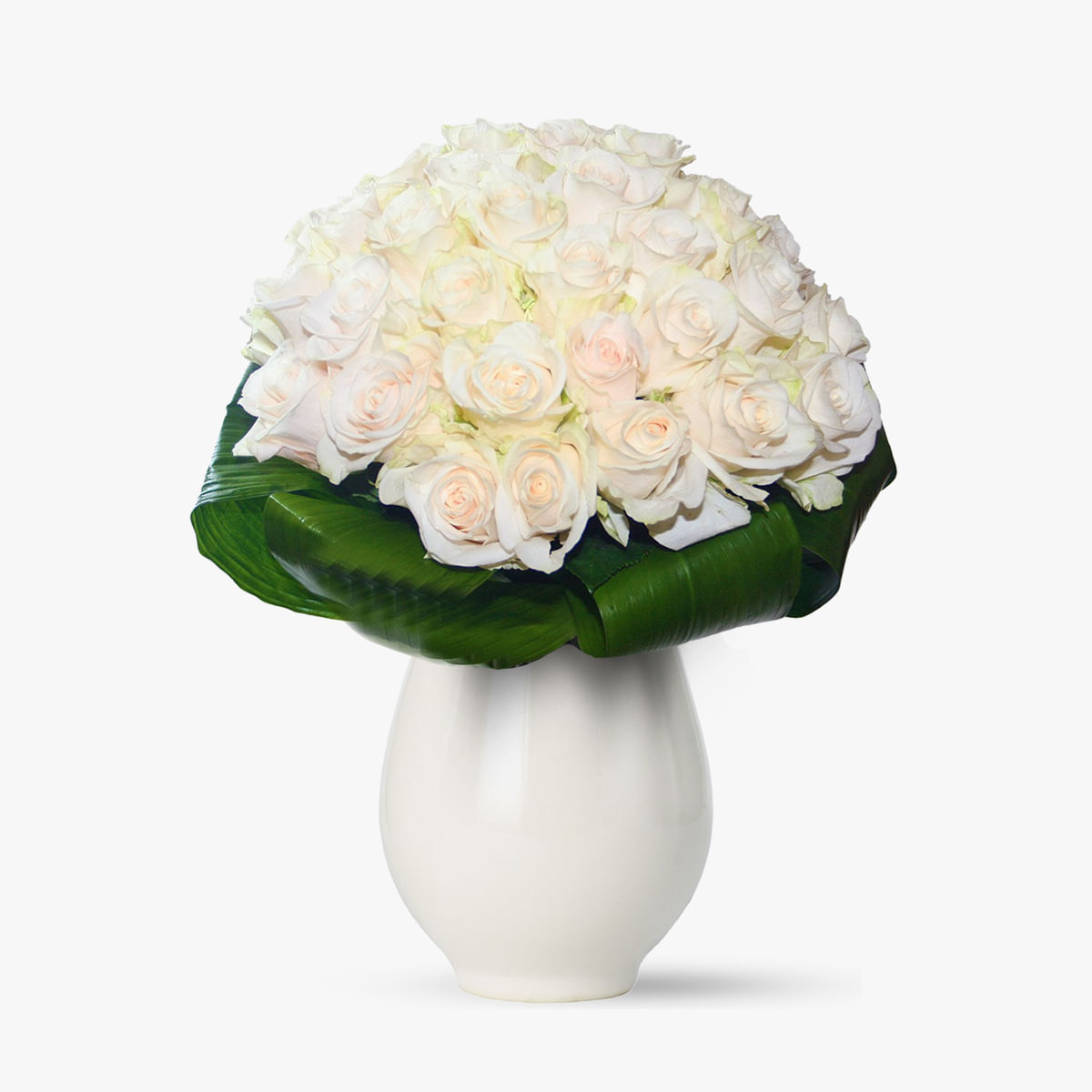 Buchet de 55 trandafiri albi – Standard albi imagine 2022