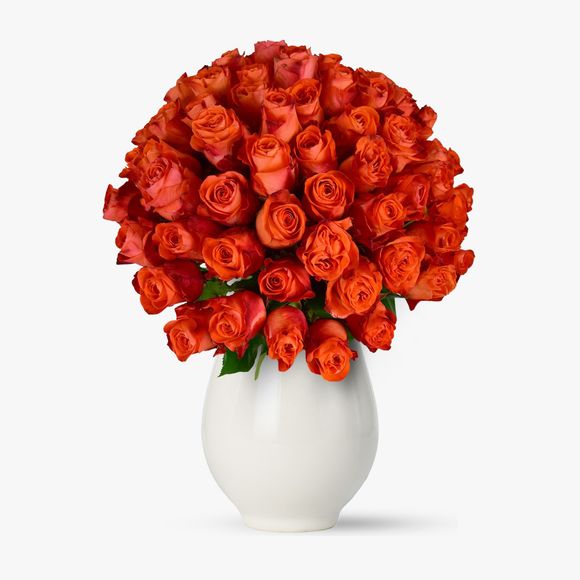 Bouquet of 75 orange roses