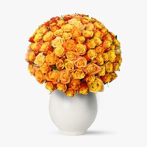 Bouquet of 101 orange roses
