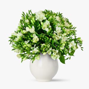 Bouquet of 101 white freesias