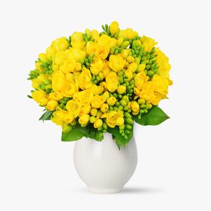 Bouquet of 101 yellow freesias