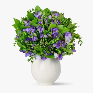 Bouquet of 101 purple freesias