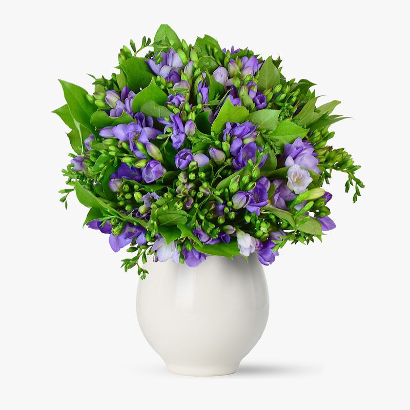 Buchet-de-101-frezii-mov