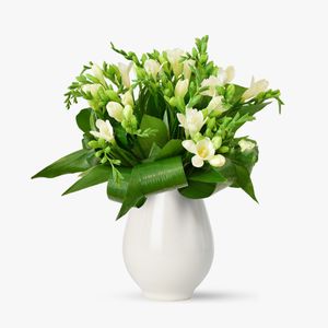 Bouquet of 15 white freesias