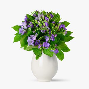 Bouquet of 19 purple freesias
