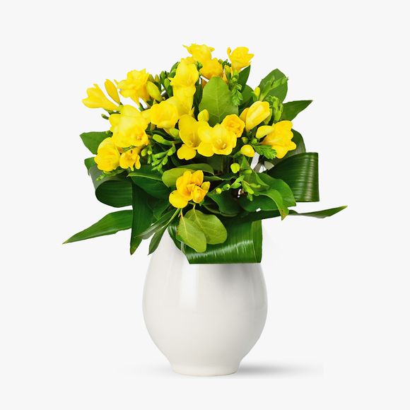 Bouquet of 25 yellow freesias