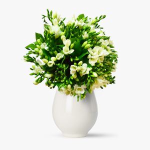 Bouquet of 45 white freesias