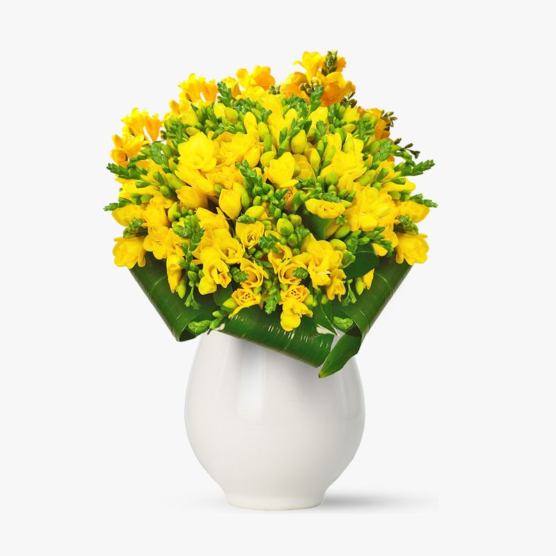 Buchet-de-49-frezii-galbene
