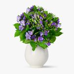 Buchet-de-49-frezii-mov