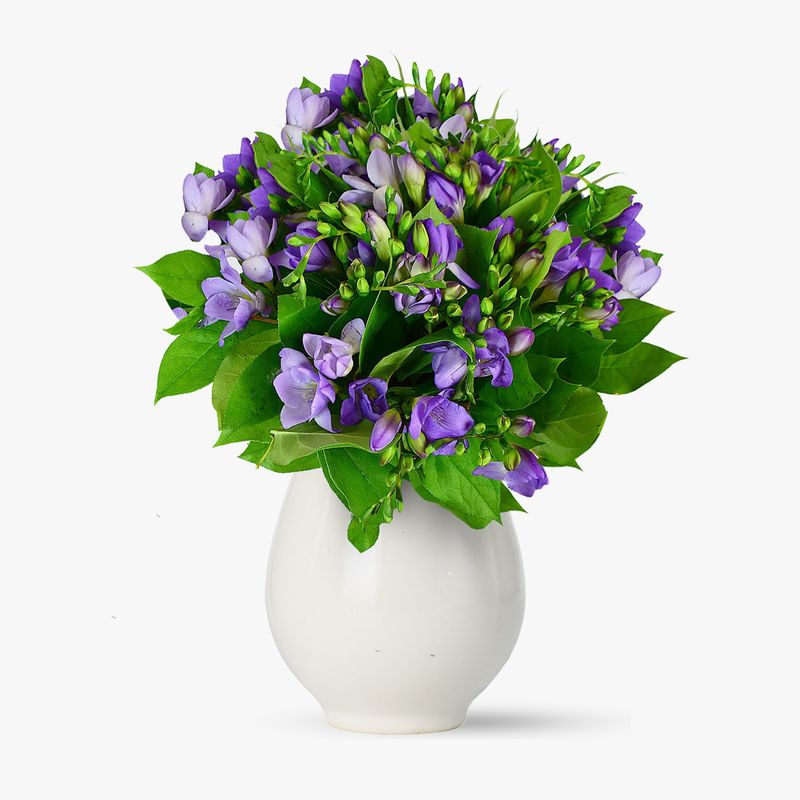 Buchet-de-49-frezii-mov