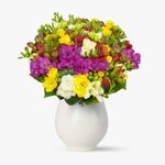 Buchet-de-49-frezii-multicolore