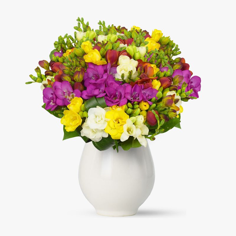 Buchet-de-49-frezii-multicolore