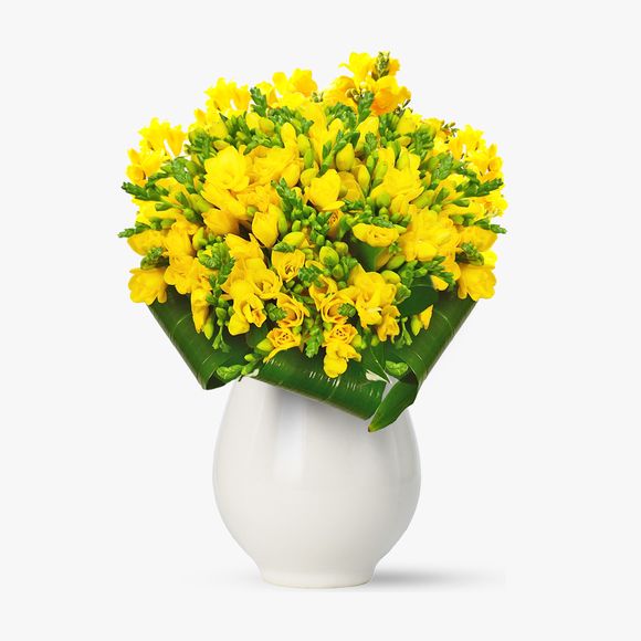 Bouquet of 51 yellow freesias
