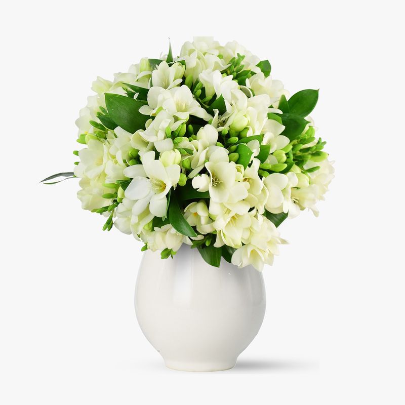 Buchet-de-51-frezii-albe
