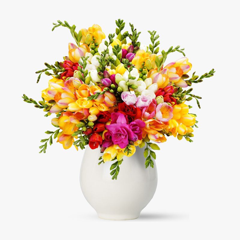 Buchet-de-51-frezii-multicolore