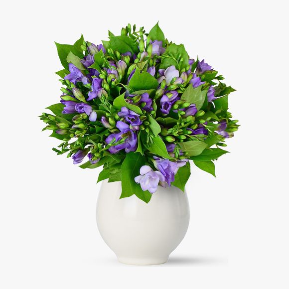 Bouquet of 55 purple freesias