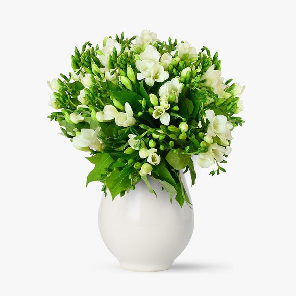 Bouquet of 55 white freesias