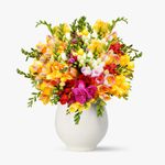 Buchet-de-55-frezii-multicolore