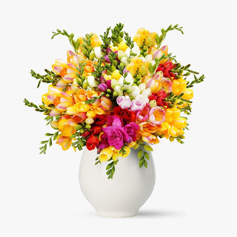 Buchet-de-55-frezii-multicolore