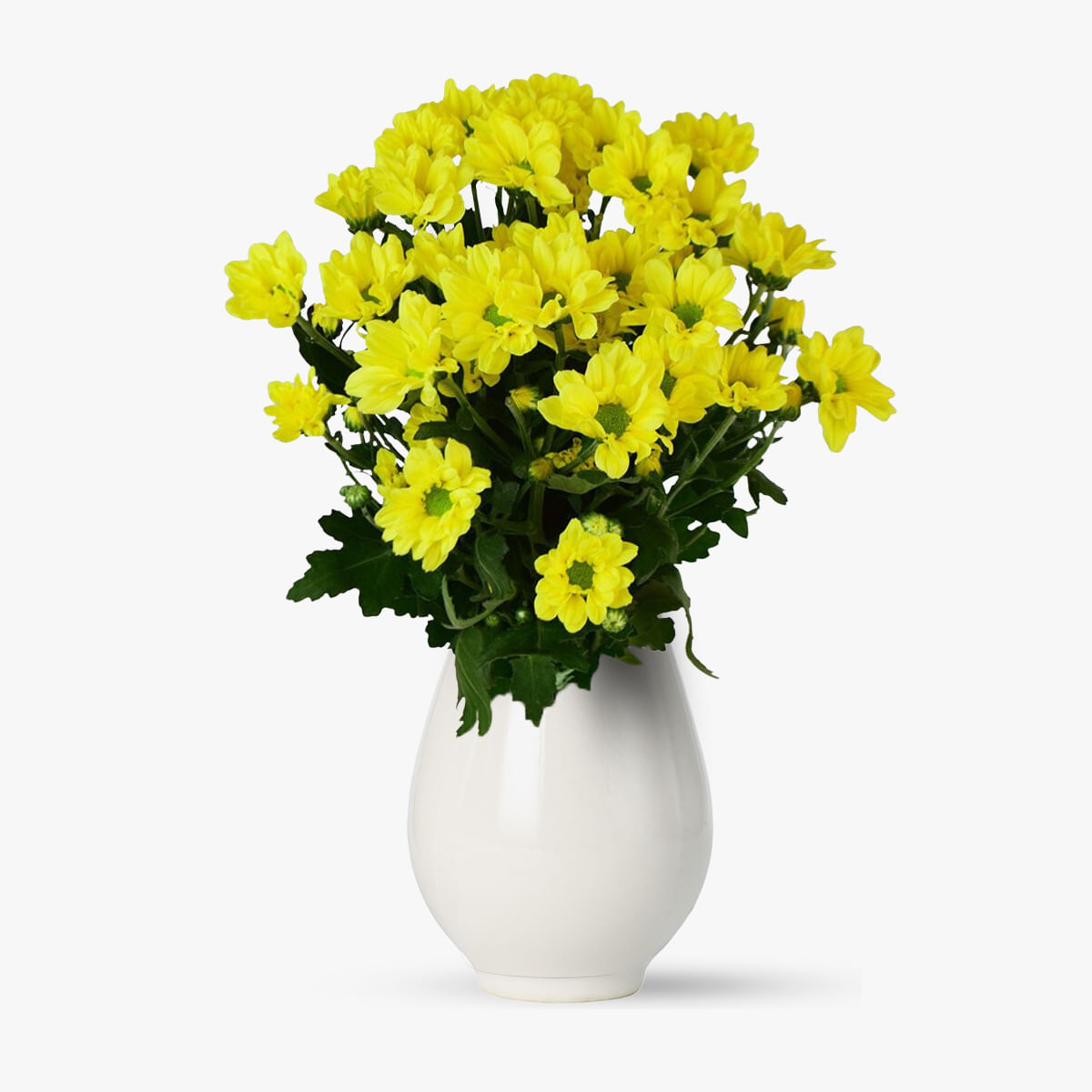 Buchet de 5 crizanteme galbene – Standard Buchet