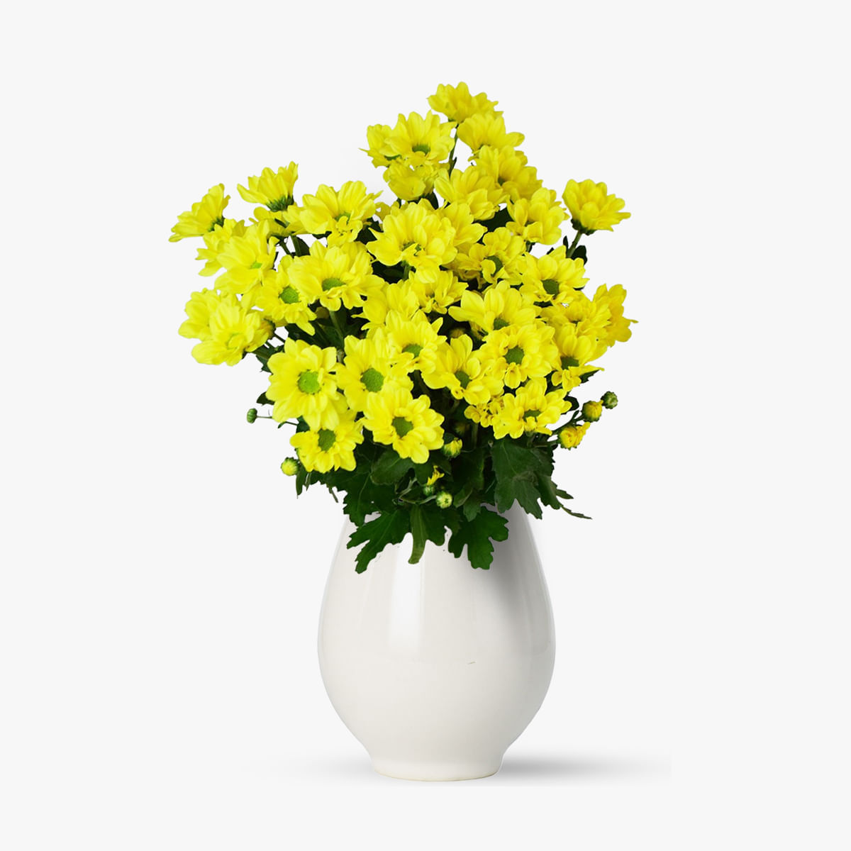 Buchet de 7 crizanteme galbene Floria imagine 2022