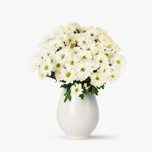 Buchet de 7 crizanteme albe