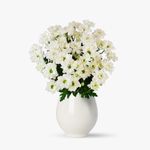 Buchet-de-9-crizanteme-albe