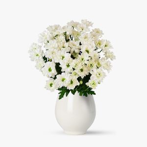 Buchet de 9 crizanteme albe