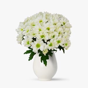 Buchet de 11 crizanteme albe