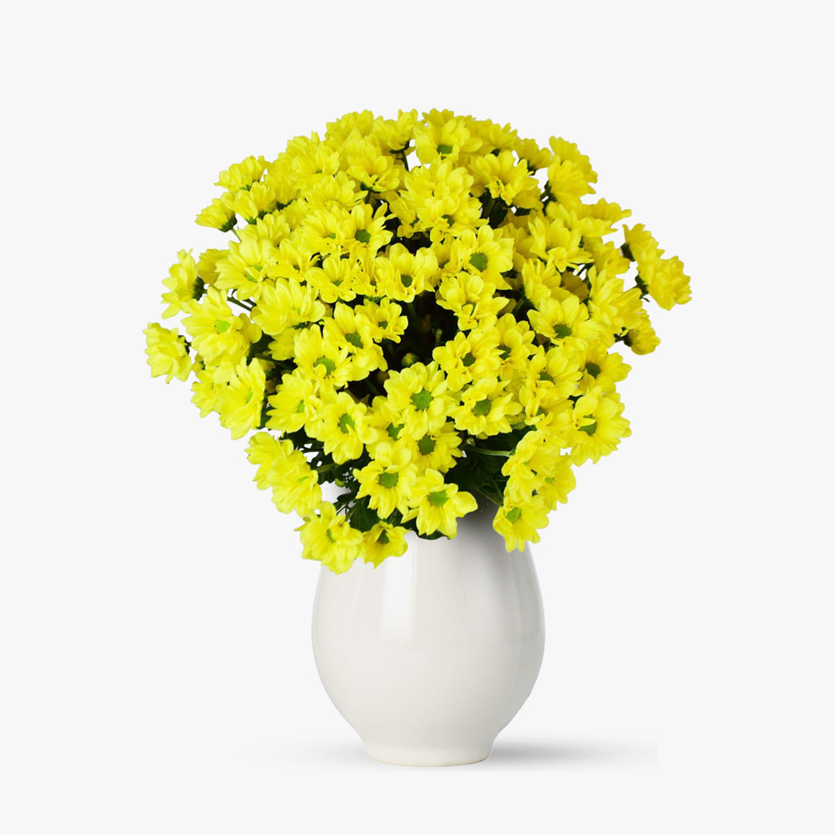 Buchet de 11 crizanteme galbene – Standard