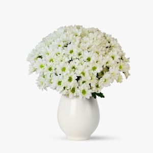 Buchet de 15 crizanteme albe