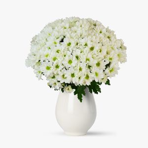 Buchet de 19 crizanteme albe