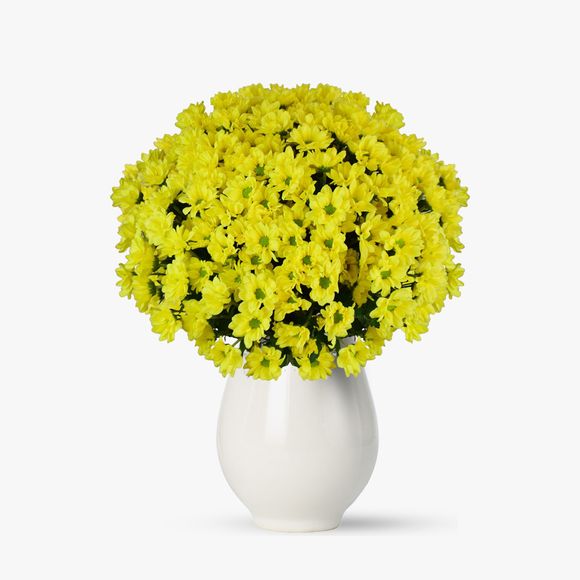 Bouquet of 19 yellow chrysanthemums